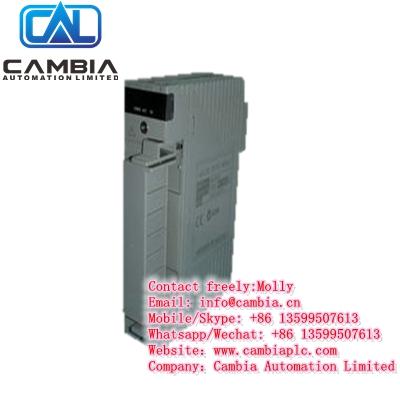 Emerson  Ovation	1C31205G01	Email:info@cambia.cn